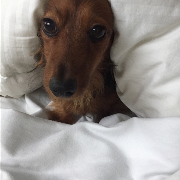 Meet your Posher, Julie - Picture 8 of 14